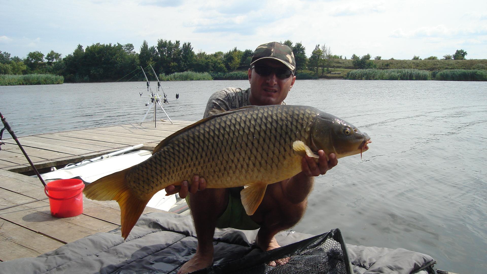 Tancabesti - Ponton Nae Sec